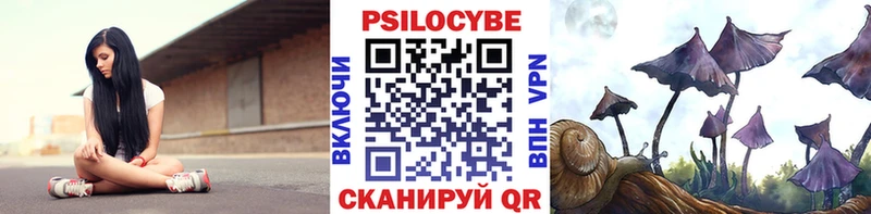Псилоцибиновые грибы GOLDEN TEACHER  Купить  Карпинск 
